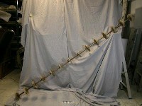 藏品(秧規)的圖片